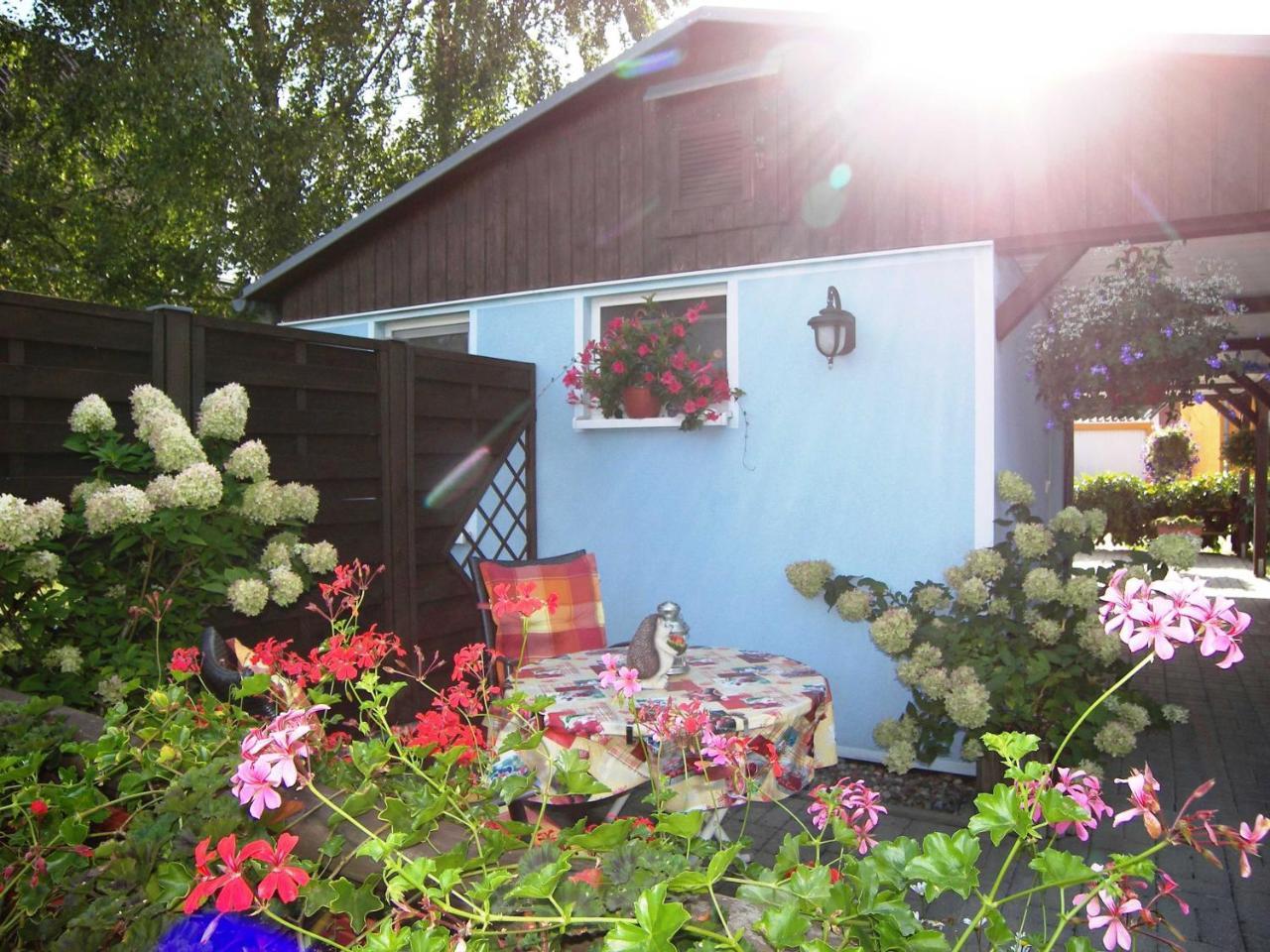 Goetze Petra Apartamento Zinnowitz Exterior foto